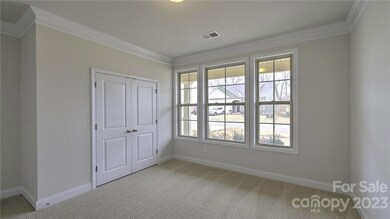 226 Fox Cove Rd, Hendersonville, NC 28792 - photo 7