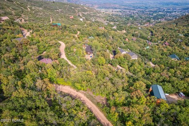 20210907-DJI_0177