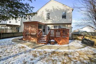 42-web-or-mls-DSC09648