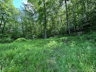 Cleared House Site