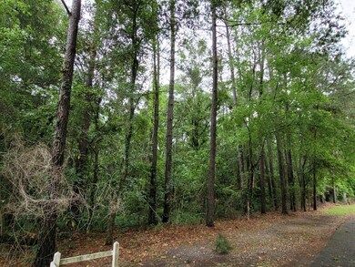 1415 Broach Ave, Putney, GA 31705 - photo 7