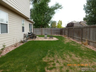 back yard