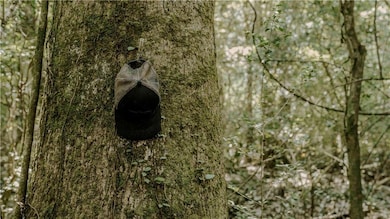 0 Hwy 1083 (Ben Williams Rd ) Hwy, Covington, LA 70435 - photo 6