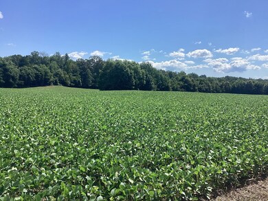 0 Swor Rd, Springville, TN 38256 - photo 3