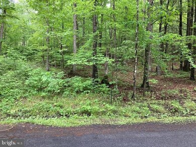 0 Susan Rd unit VASH2003412, Basye, VA 22810 - photo 5