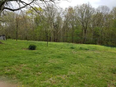 Big back yard and field