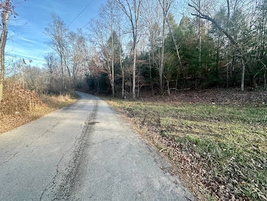 Lot 12 Hensley Rd, East Bernstadt, KY 40729 - photo 2