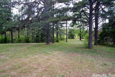 3622 Greene 628 Rd, Paragould, AR 72450 - photo 2