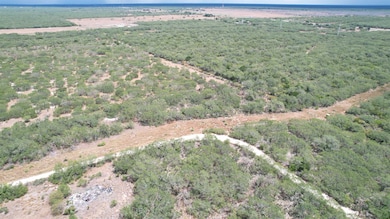 0 Cr 406 (E Off Of) unit County Road 406, Falfurrias, TX 78355 - photo 3