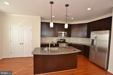 25107 Green Mountain Terrace, Aldie, VA 20105 - photo 6