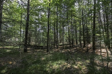 Lot 32 Pinecone Dr, Woodruff, WI 54568 - photo 3
