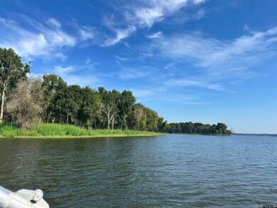 Lot 111 Oak River, Frankston, TX 75763 - photo 7