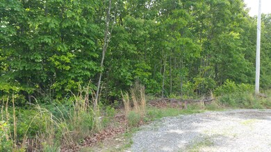 View from across the road from property
