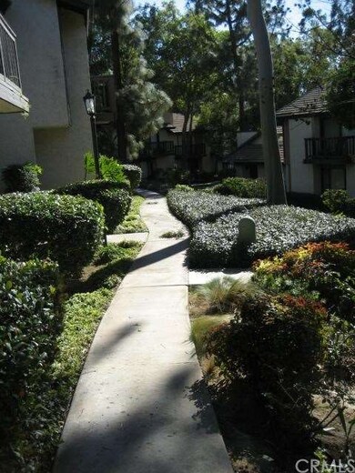 Front Walk-Way