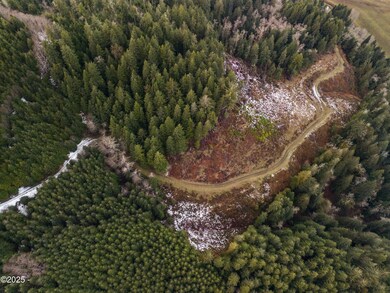 DJI_20250209142944_0120_D