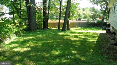 2111 Westmoreland St, Falls Church, VA 22043 - photo 4