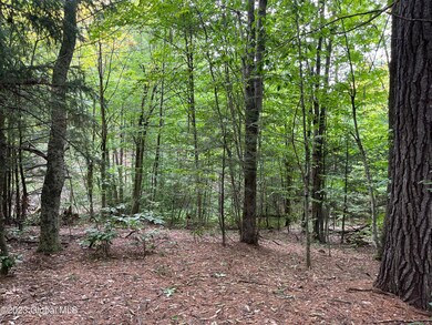 image_50768641 4