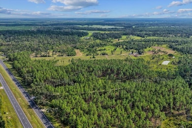 0 U S Highway 19 unit 795534, Perry, FL 32348 - photo 6