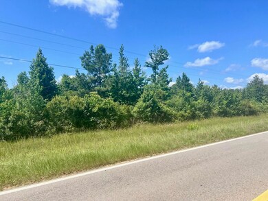 0 Fm 82 W unit 258732, Kirbyville, TX 75951 - photo 4