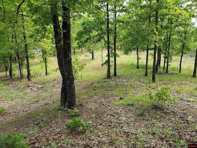 6537 Mount Calm Rd, Gepp, AR 72538 - photo 2