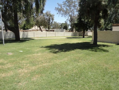 DSC01003