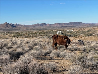 0 N Lost Mine Dr unit 34513, Chloride, AZ 86431 - photo 5