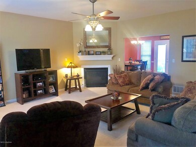 6935 Catalpa Springs Dr, Louisville, KY 40228 - photo 3