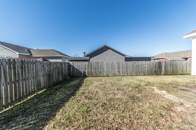 Back Yard 1
