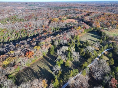 000 Scanlon Dr, de Soto, MO 63020 - photo 2