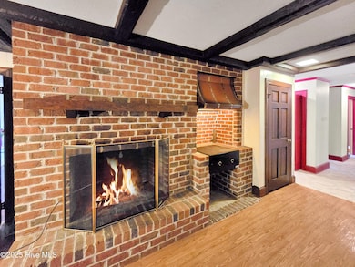 Fireplace and Gas Grill
