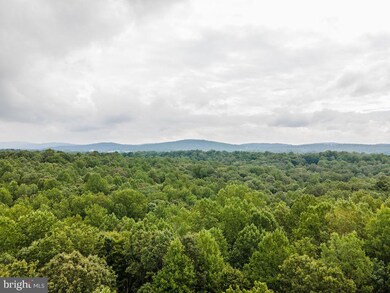 8113 Dulins Ford Rd, Marshall, VA 20115 - photo 4