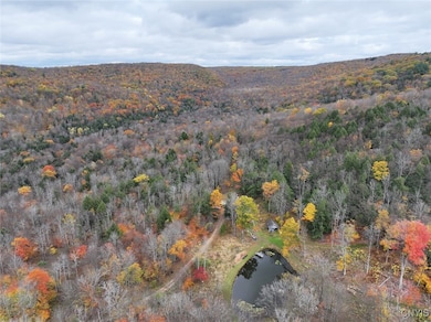 936 California Hollow Rd, Bolivar, NY 14715 - photo 6