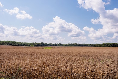 Gin Pond, Bluffton, GA 39824 - photo 3