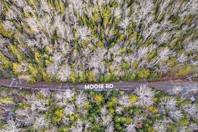 lot 30 Stephens Rd, Sandy River, ME 04970 - photo 7