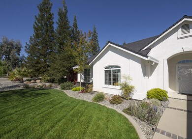 Frontyard