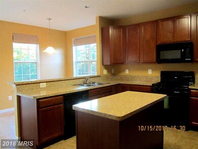 46365 Shining Willow Ln unit 113, Lexington Park, MD 20653 - photo 5