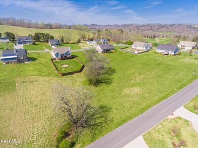 2119KingViewLoop