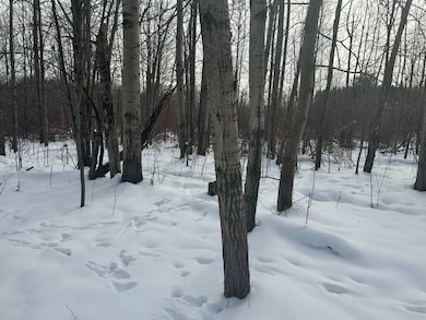Wooded property