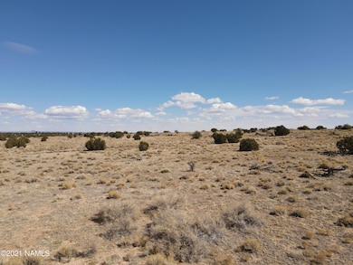 10424 W Line Cook Trail, Williams, AZ 86046 - photo 4