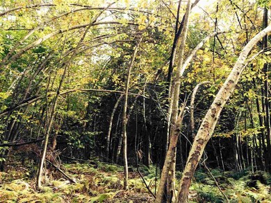 50 Barnett Rd, Fairfax, VT 05454 - photo 4