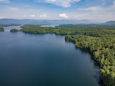 00 Newman, Center Harbor, NH 03226 - photo 7