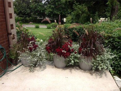 patio and side yard