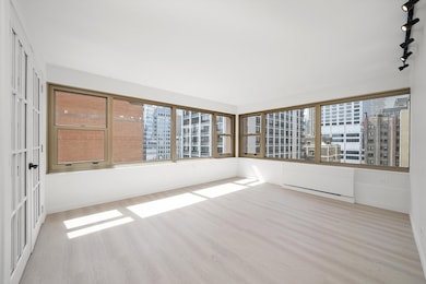 247 E Chestnut St unit 2004, Chicago, IL 60611 - photo 7