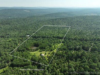 2 SE Hulsey Prairie, Panola, OK 74578 - photo 4