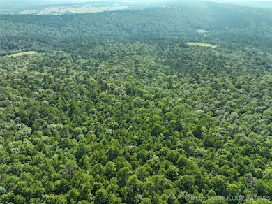 unlisted-address, Panola, OK 74578 - photo 2