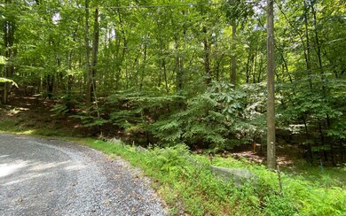 Additional View