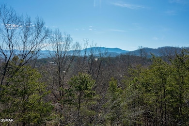 Lot 40 Kings Hills Blvd, Pigeon Forge, TN 37863 - photo 7