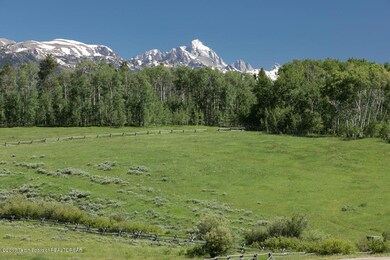 Grand Teton View