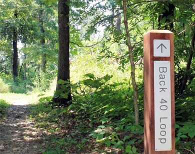 0 Clivenden Ln unit 1166638, Bella Vista, AR 72714 - photo 5