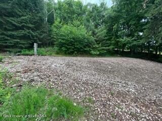 304 Hon Ln, Lake Winola, PA 18625 - photo 6